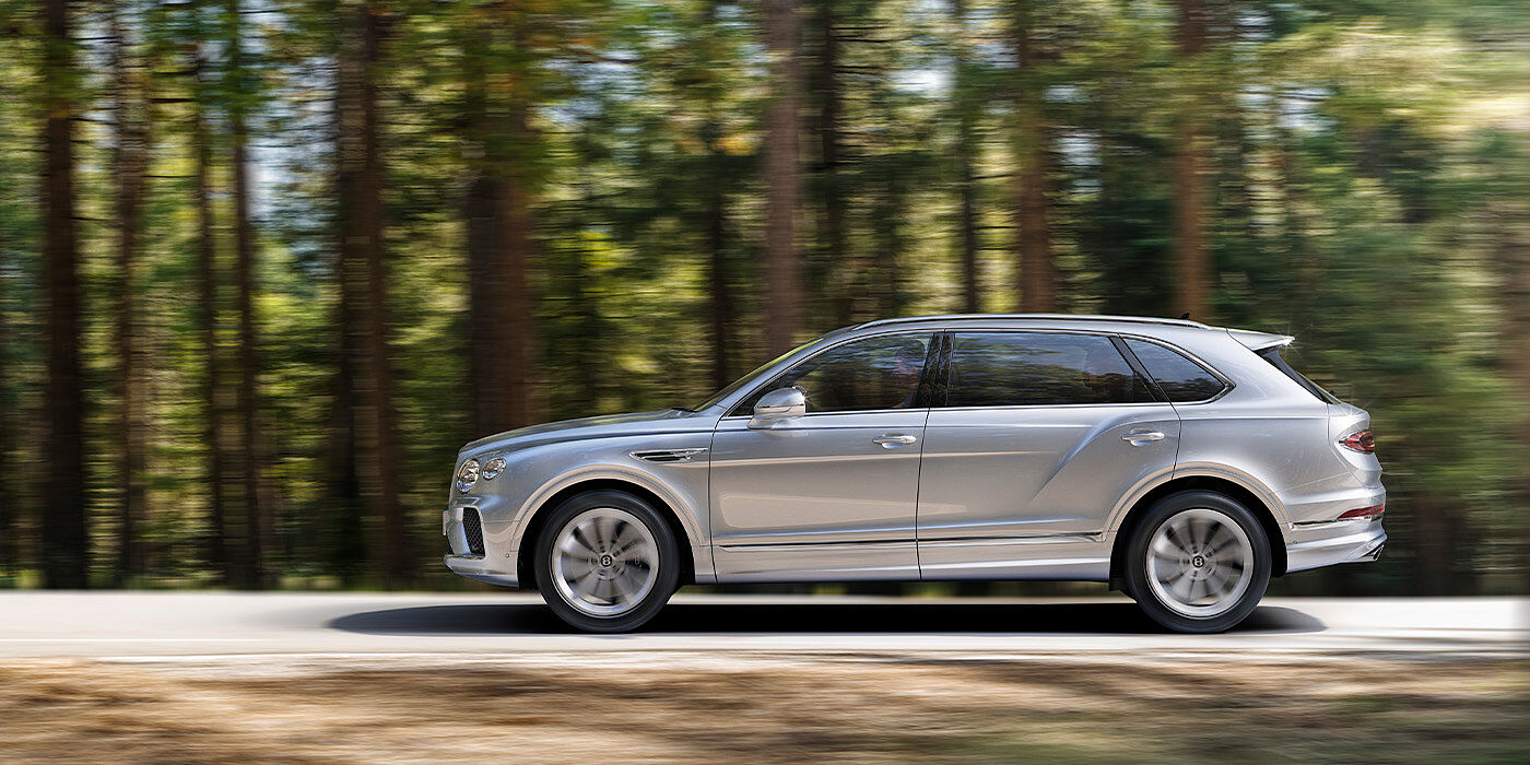 Bentley Auckland Bentley Bentayga EWB in Moonbeam colour driving through forest.